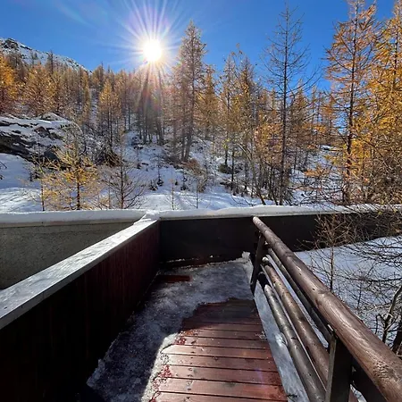 La Casa Sul Bosco *