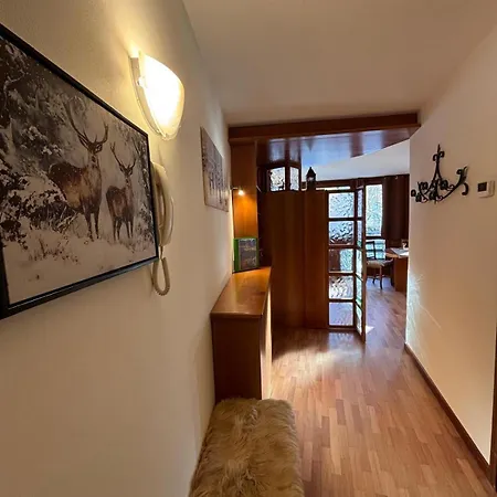 La Casa Sul Bosco דירה